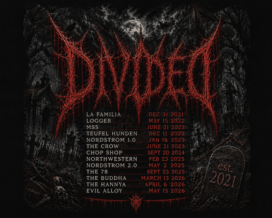 Lucky 13 Divided poster